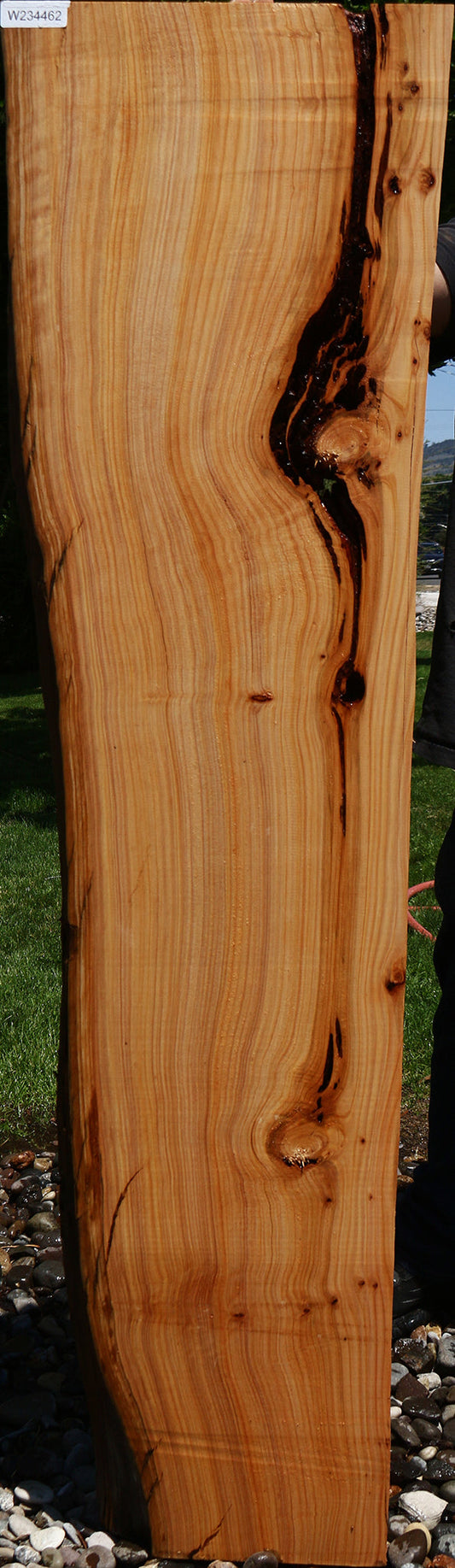 Rustic Monterey Cypress Live Edge Mantel