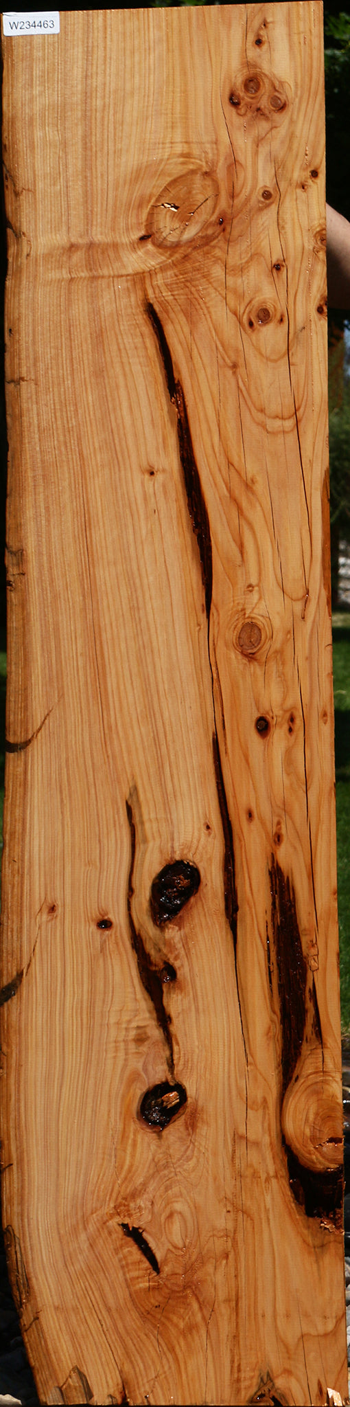 Rustic Monterey Cypress Live Edge Mantel