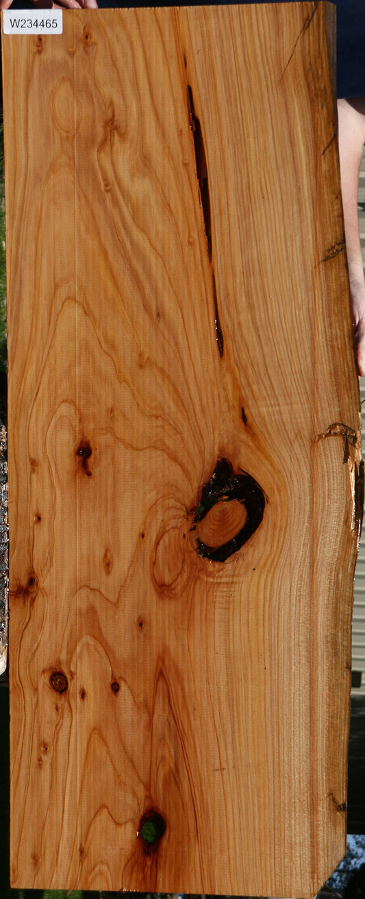 Rustic Monterey Cypress Live Edge Lumber