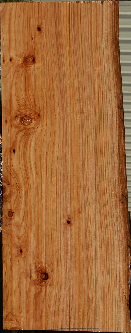 Monterey Cypress Live Edge Mini Slab