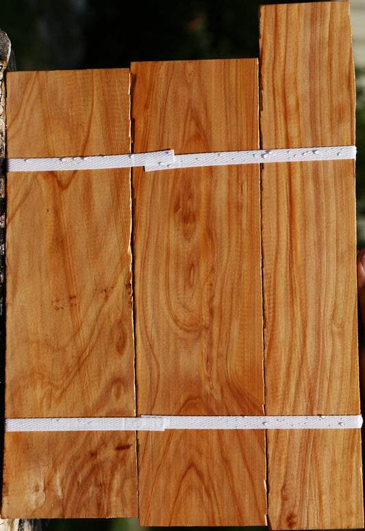Monterey Cypress Lumber 3 Pack