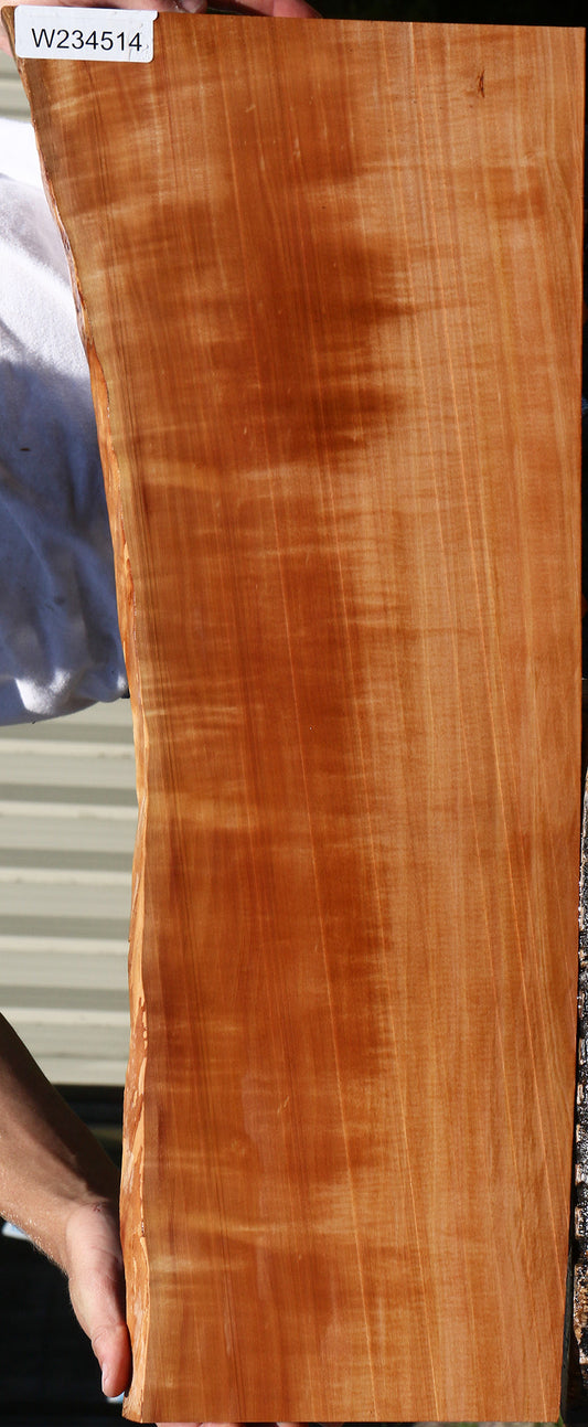 Extra Fancy Swiss Pear Live Edge Lumber