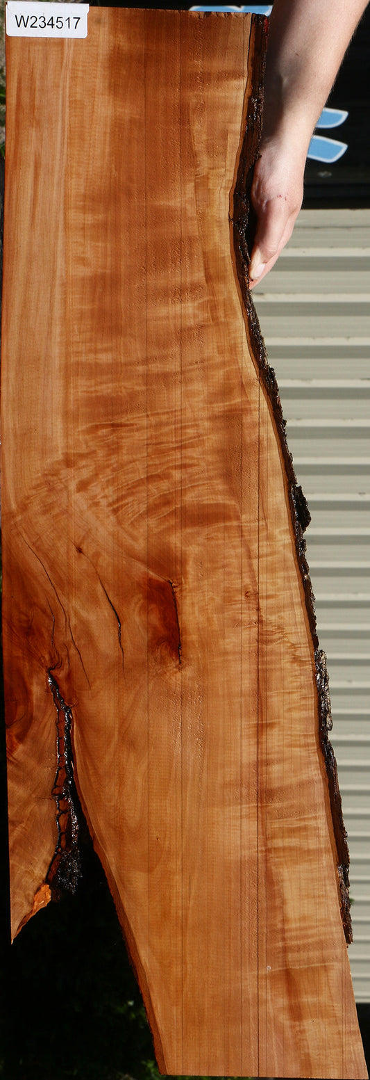 Extra Fancy Swiss Pear Live Edge Lumber