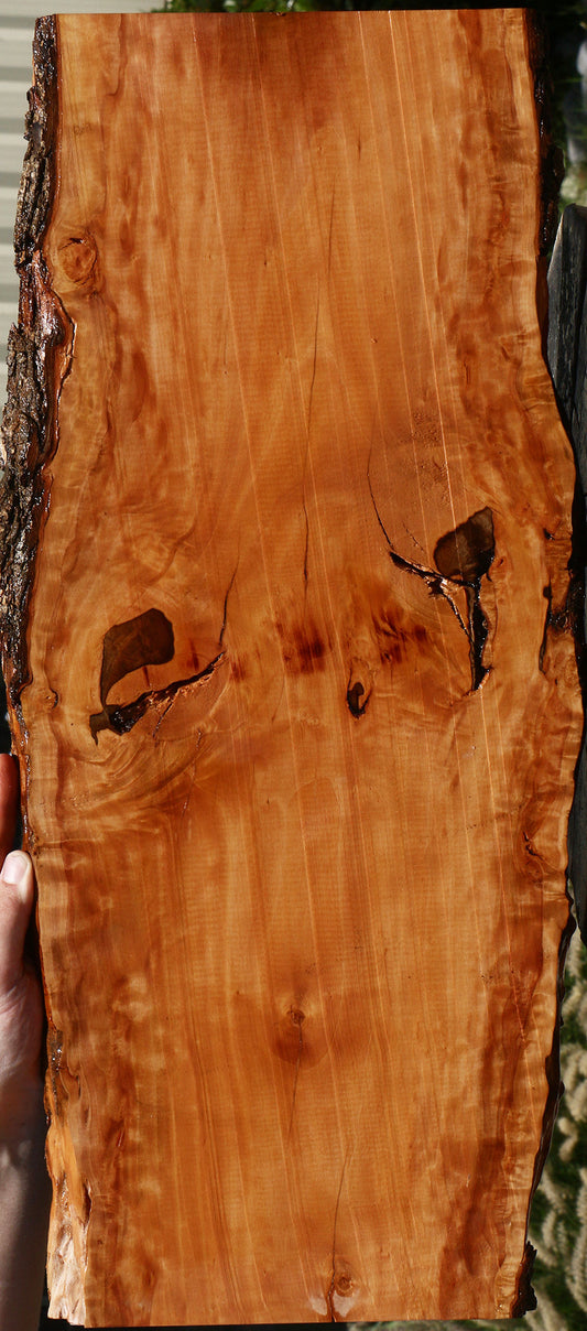 Figured Swiss Pear Live Edge Lumber