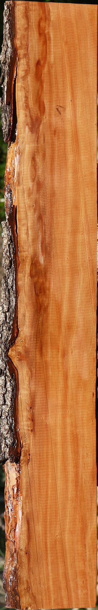 Swiss Pear Live Edge Lumber