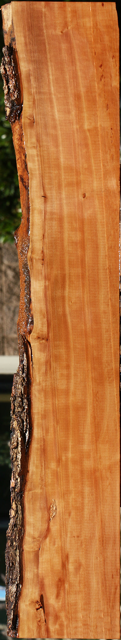 Figured Swiss Pear Live Edge Lumber