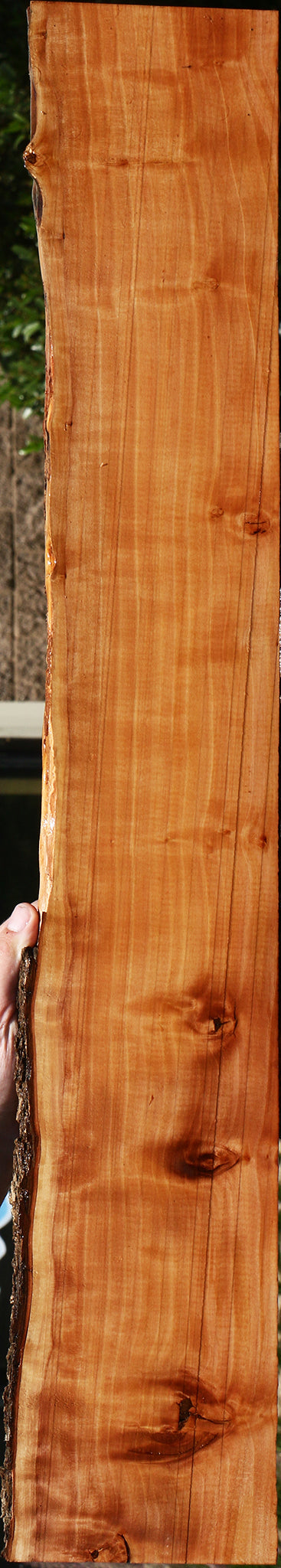 Figured Swiss Pear Live Edge Lumber