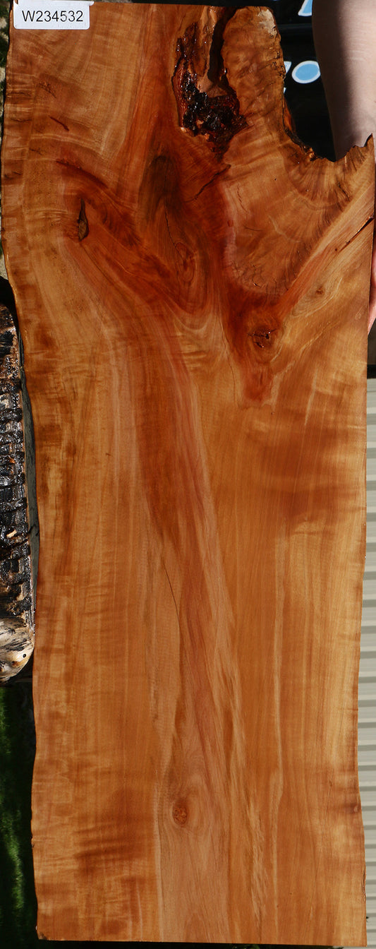 Figured Rustic Swiss Pear Live Edge Lumber