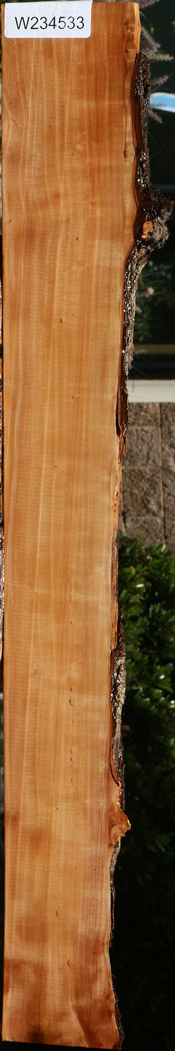 Swiss Pear Live Edge Lumber