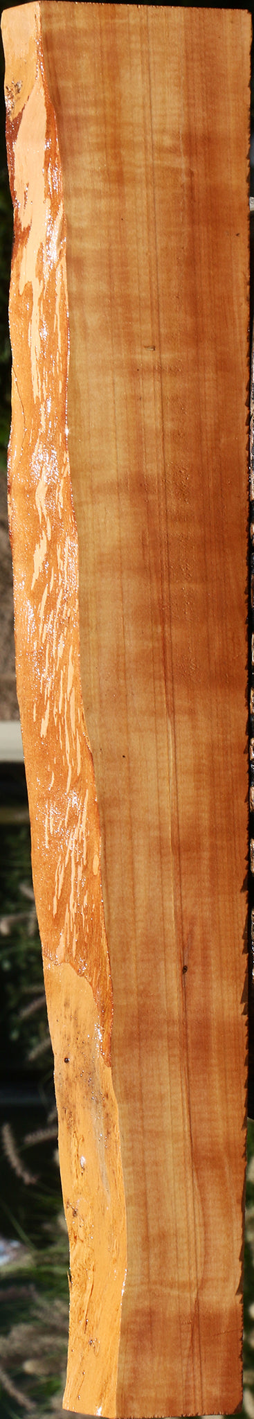 Figured Swiss Pear Live Edge Lumber