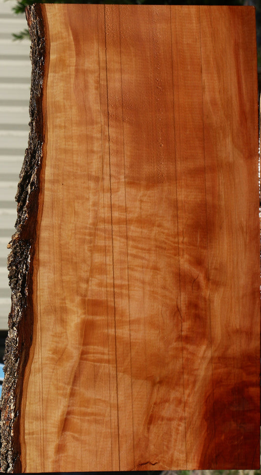 Extra Fancy Swiss Pear Live Edge Lumber