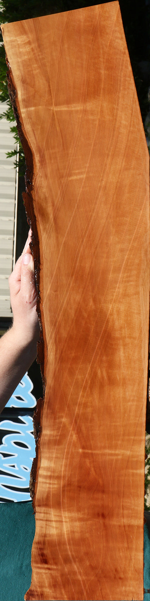 Figured Swiss Pear Live Edge Lumber