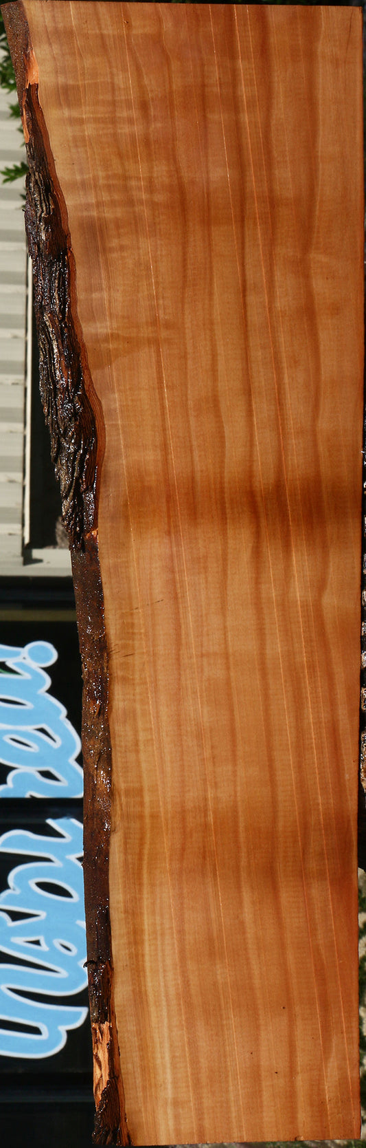 Extra Fancy Swiss Pear Live Edge Lumber