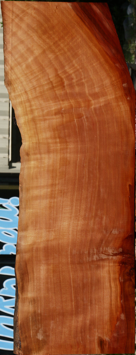 Extra Fancy Swiss Pear Live Edge Lumber