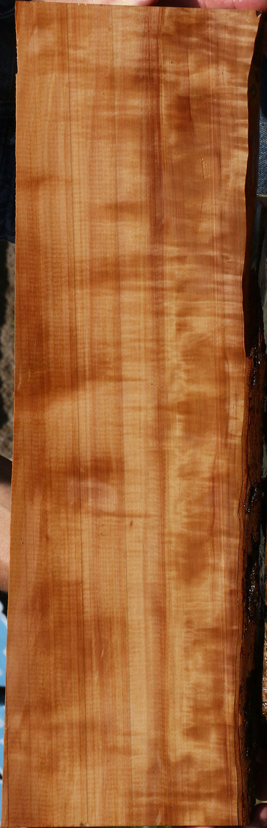 Extra Fancy Swiss Pear Live Edge Lumber