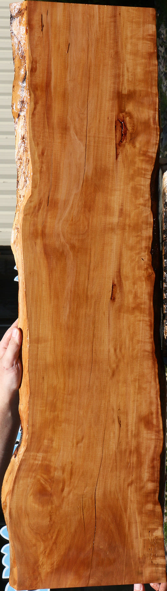 Figured Swiss Pear Burl Live Edge Lumber