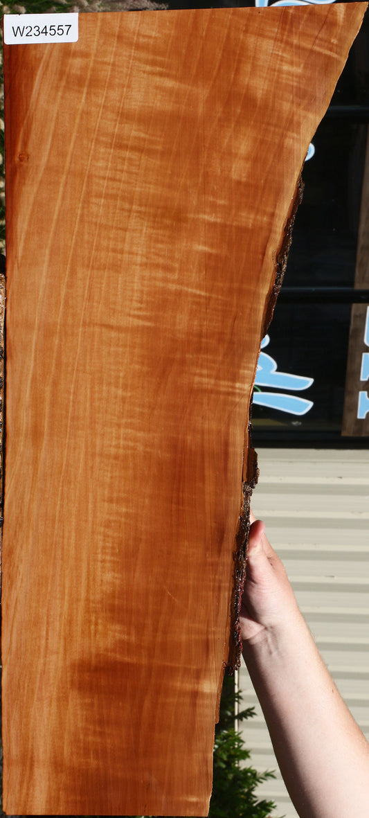 Extra Fancy Swiss Pear Live Edge Lumber