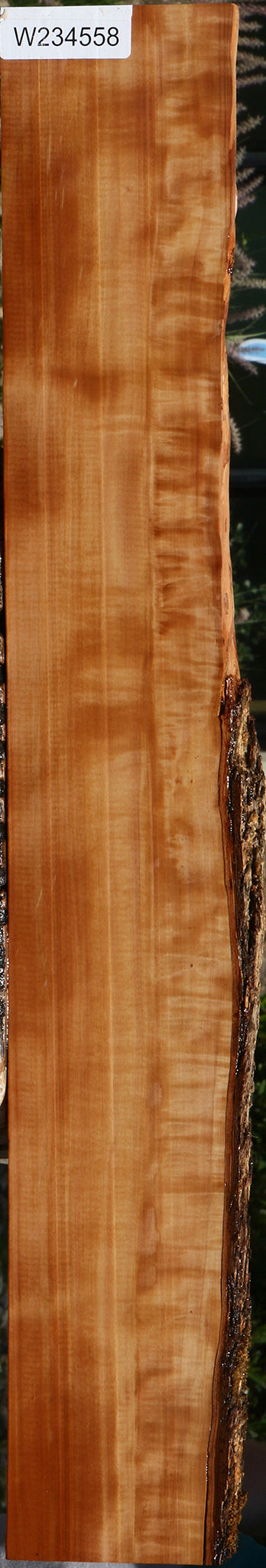 Extra Fancy Swiss Pear Live Edge Lumber