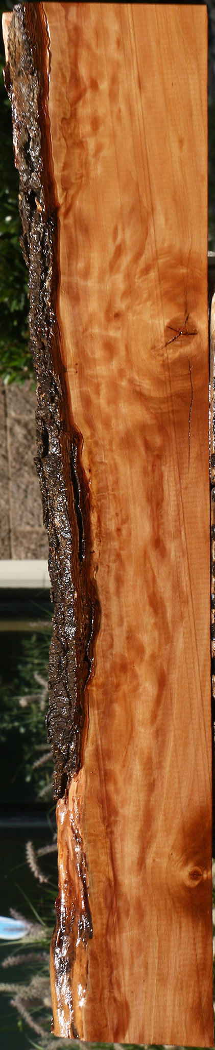 Figured Swiss Pear Live Edge Lumber