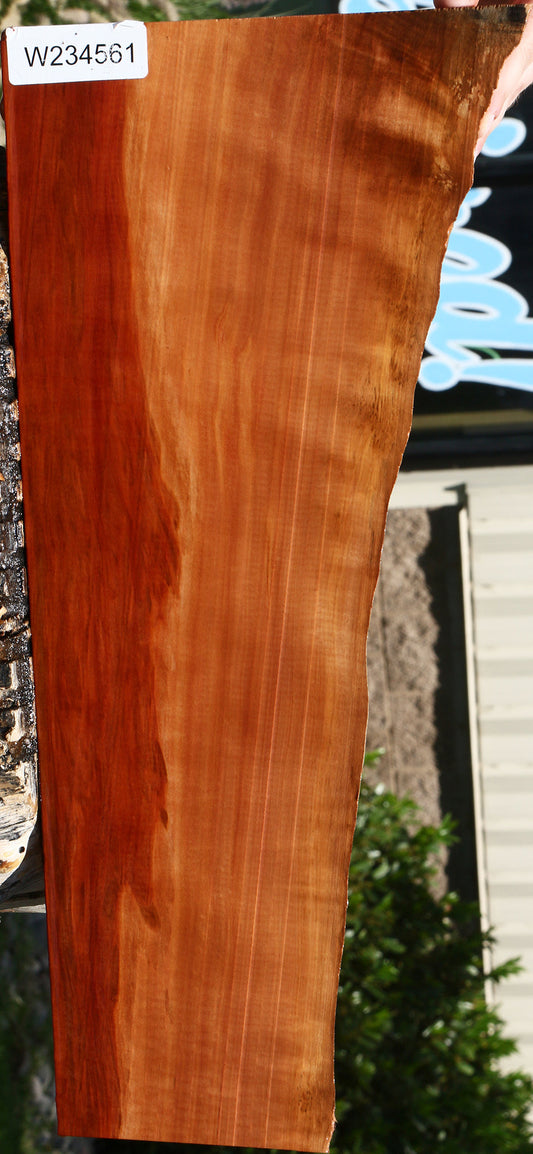 Swiss Pear Live Edge Lumber