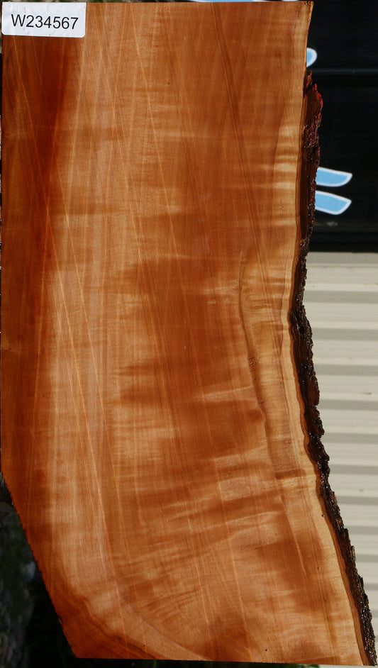Extra Fancy Swiss Pear Live Edge Lumber