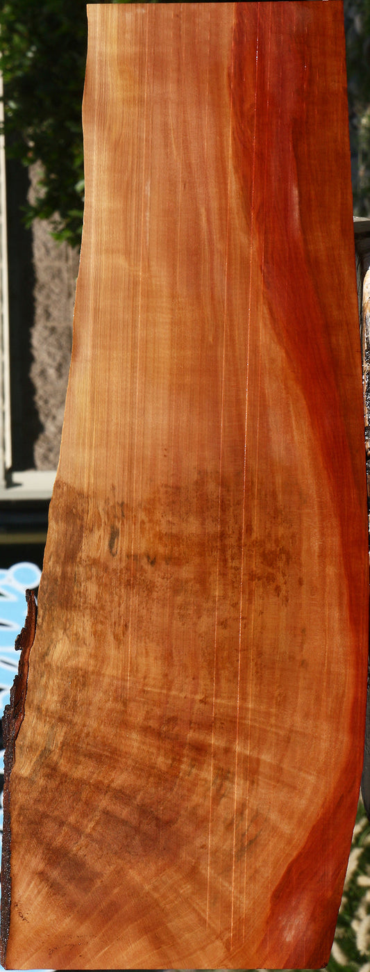 Extra Fancy Swiss Pear Live Edge Lumber