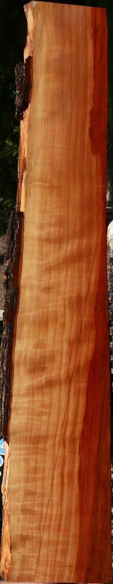 Extra Fancy Swiss Pear Live Edge Lumber