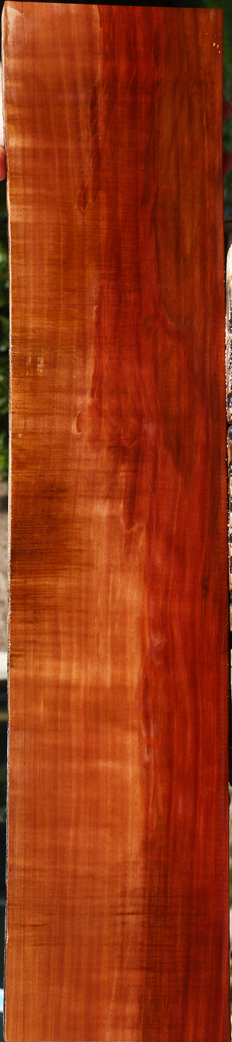 Figured Swiss Pear Live Edge Lumber