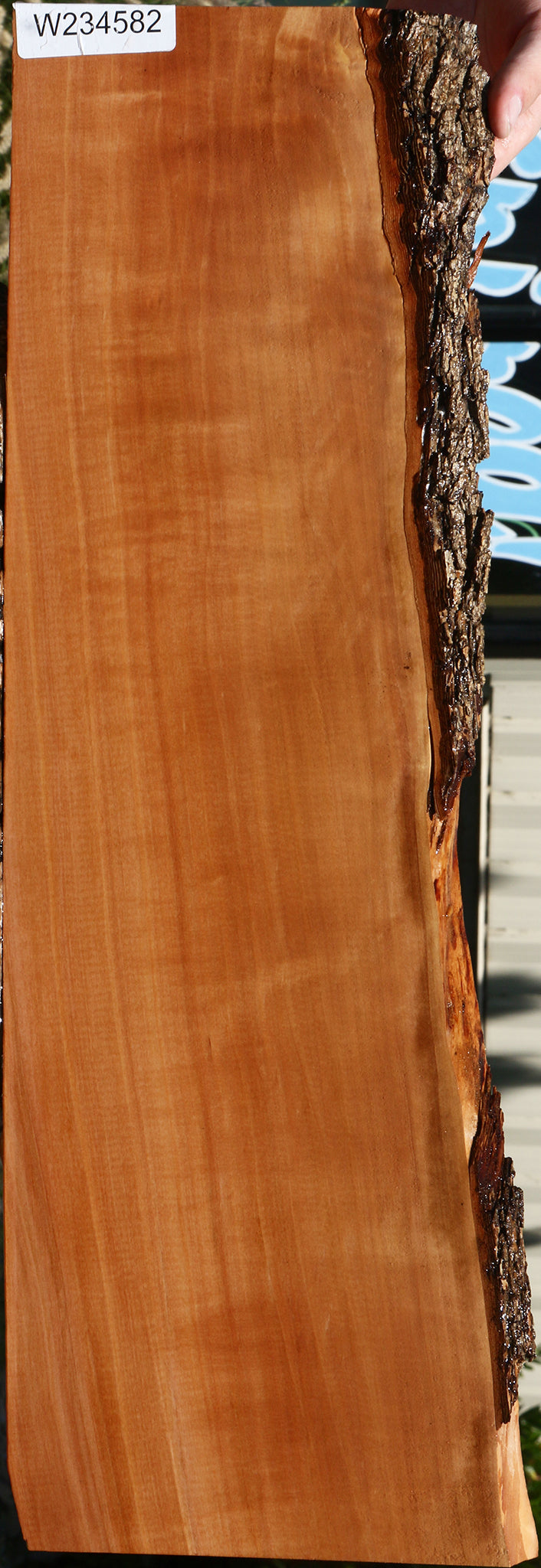 Extra Fancy Swiss Pear Live Edge Lumber