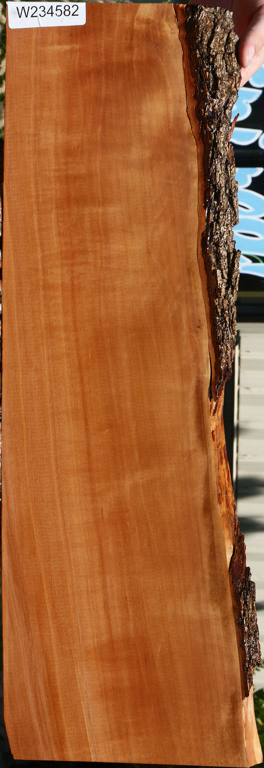 Extra Fancy Swiss Pear Live Edge Lumber