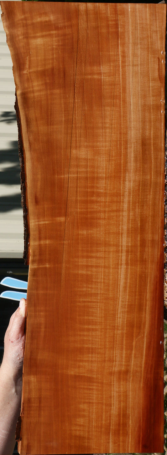 Extra Fancy Swiss Pear Live Edge Lumber
