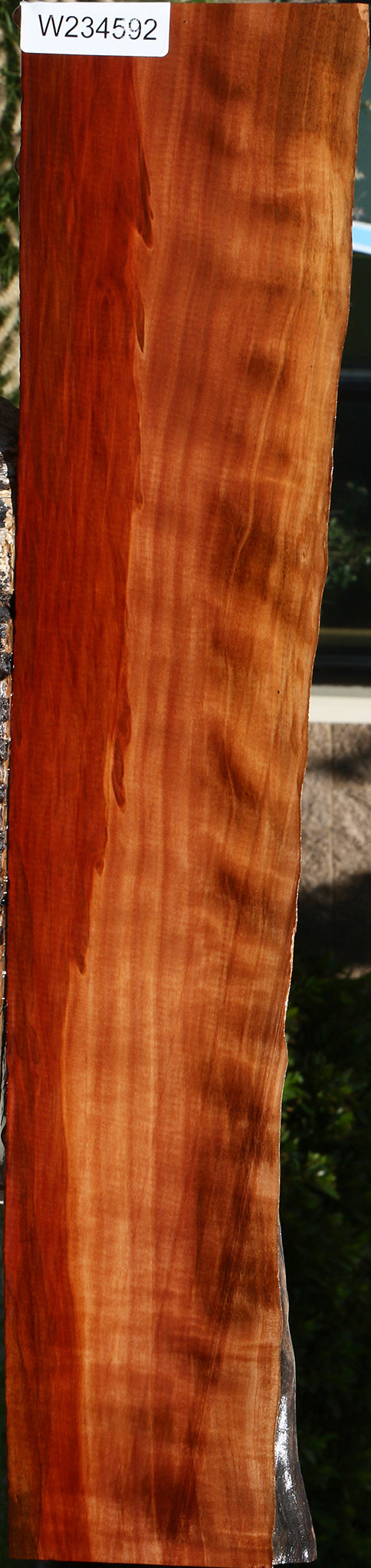 Extra Fancy Swiss Pear Live Edge Lumber