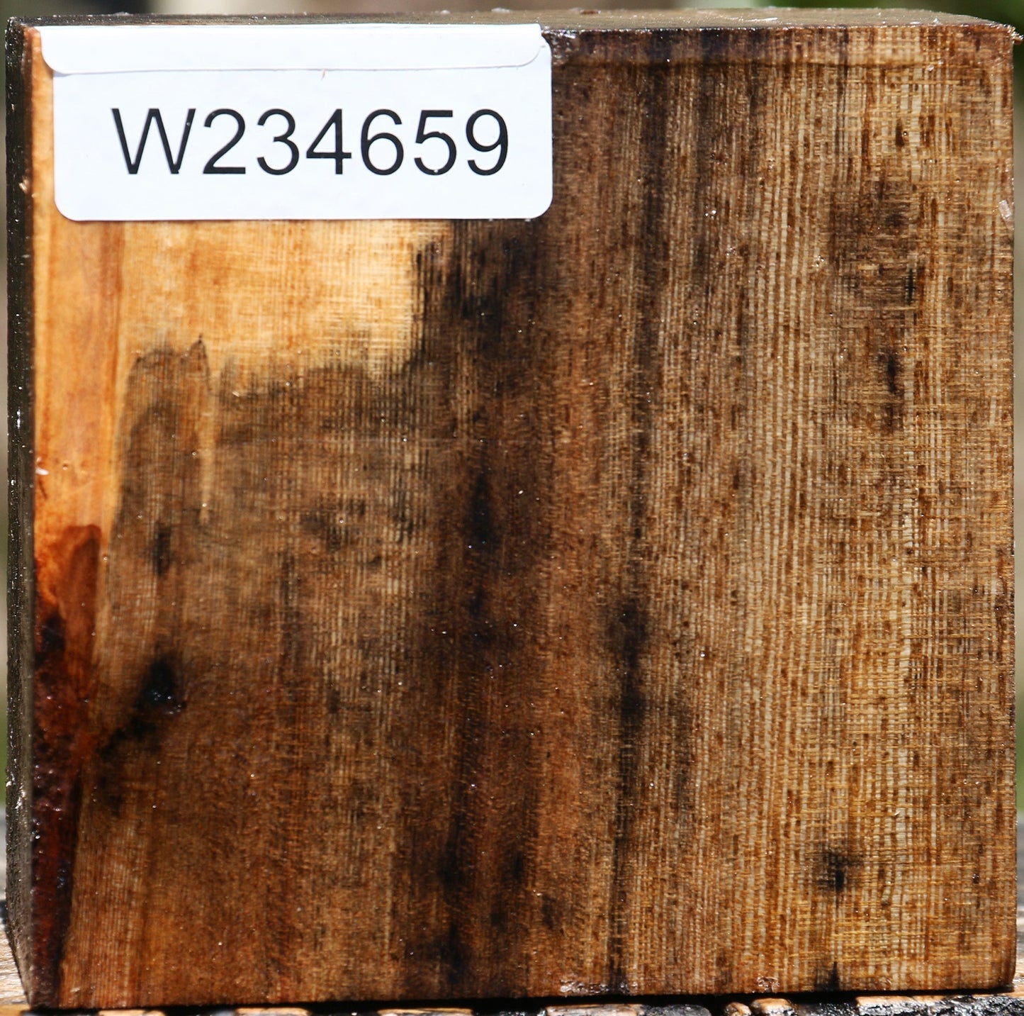 Figured Ficus Bowl Blank