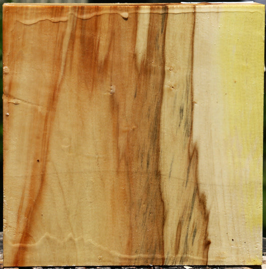 Box Elder Bowl Blank