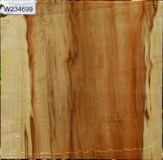 Box Elder Platter Blank