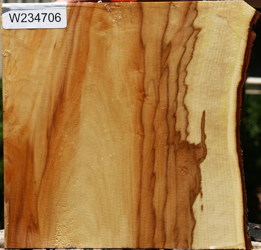 Box Elder Live Edge Bowl Blank