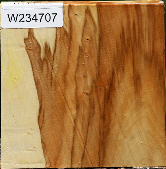 Box Elder Bowl Blank