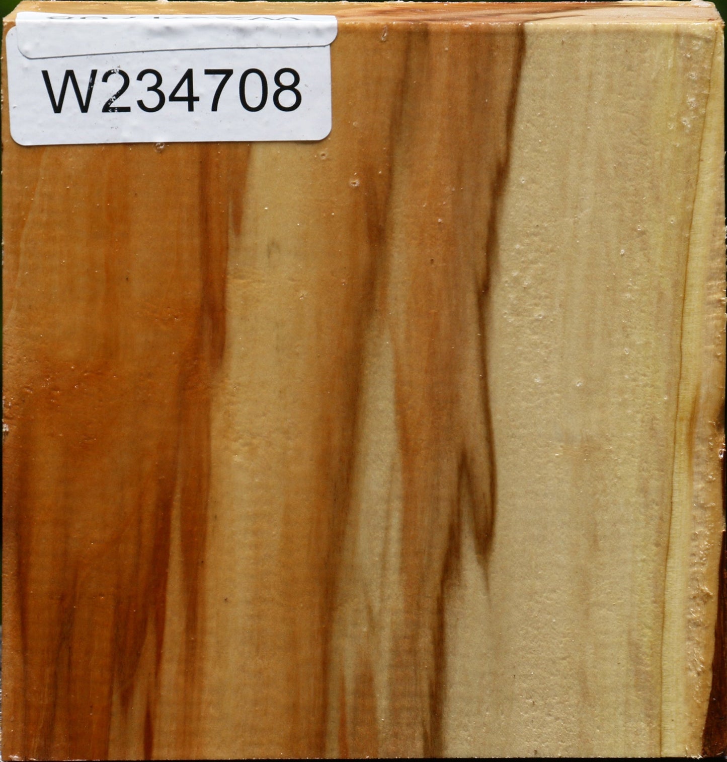 Box Elder Bowl Blank