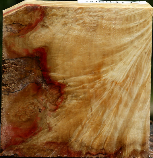 Box Elder Burl Bowl Blank