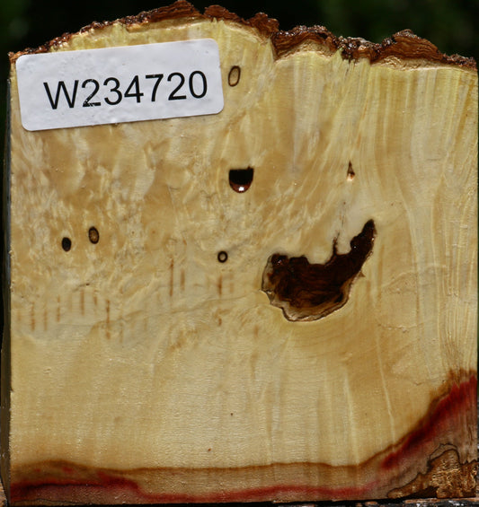 Box Elder Live Edge Bowl Blank