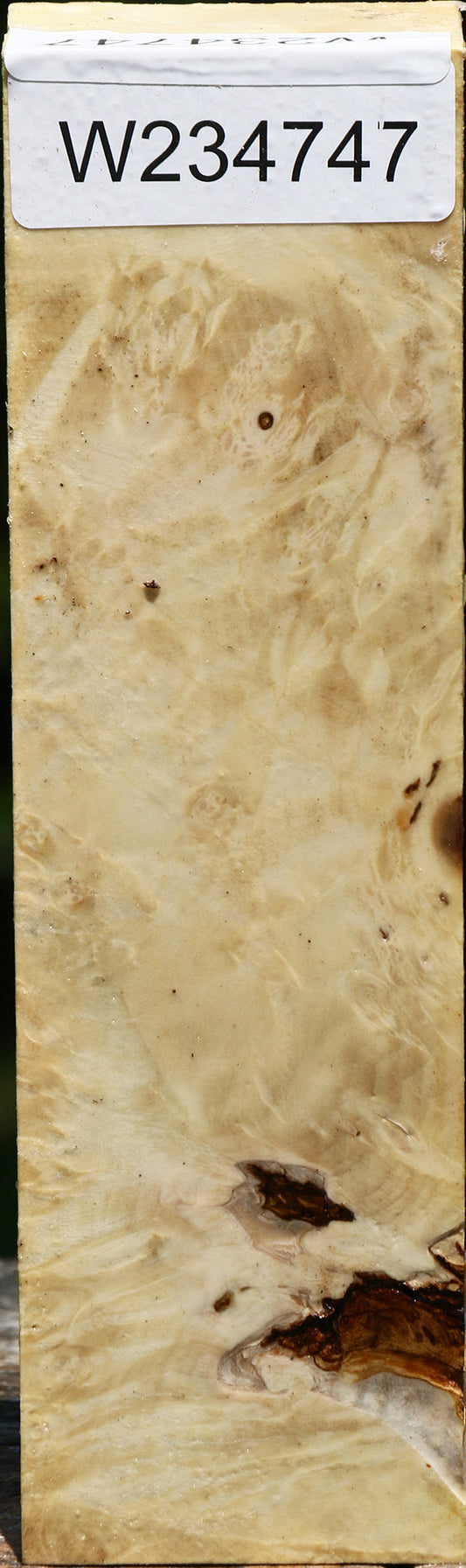 Figured Box Elder Turning Square