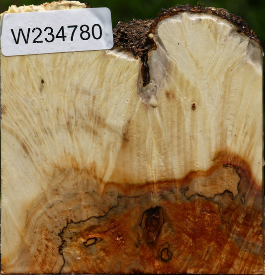 Box Elder Live Edge Bowl Blank