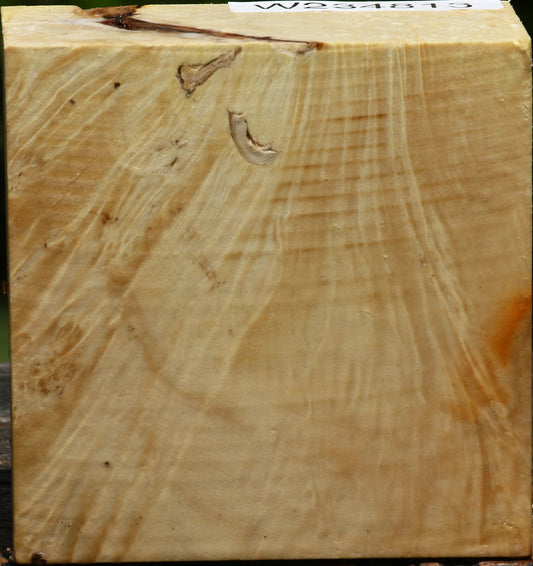 Rustic Box Elder Burl Bowl Blank