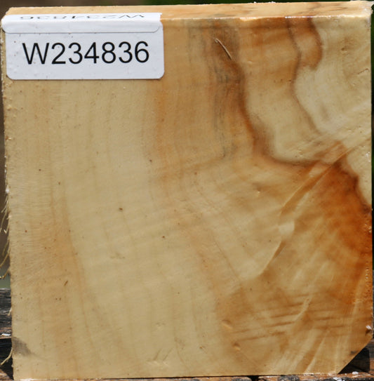 Box Elder Bowl Blank