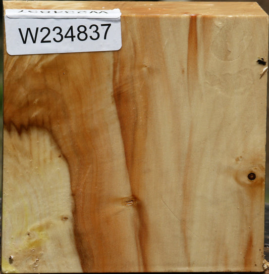 Box Elder Bowl Blank