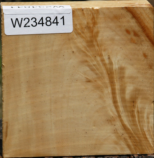 Box Elder Bowl Blank