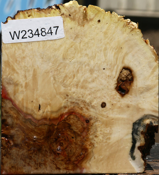 Box Elder Live Edge Bowl Blank