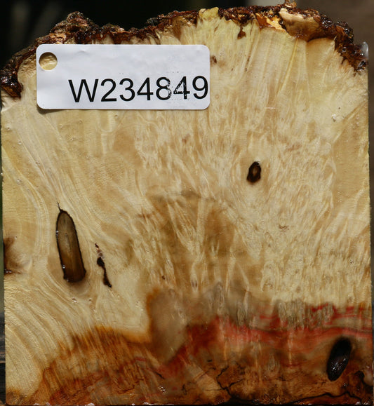 Box Elder Live Edge Bowl Blank