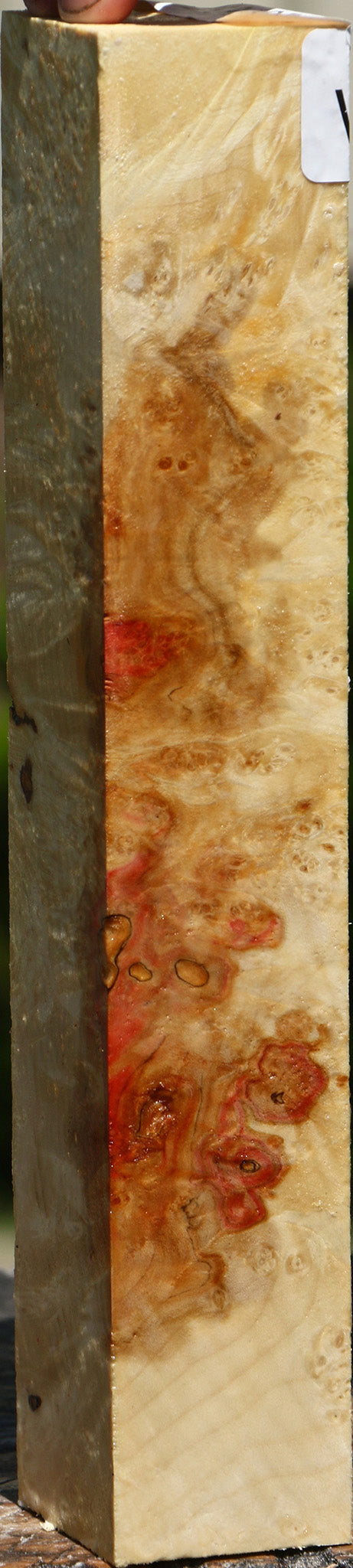 Box Elder Burl Turning Blank