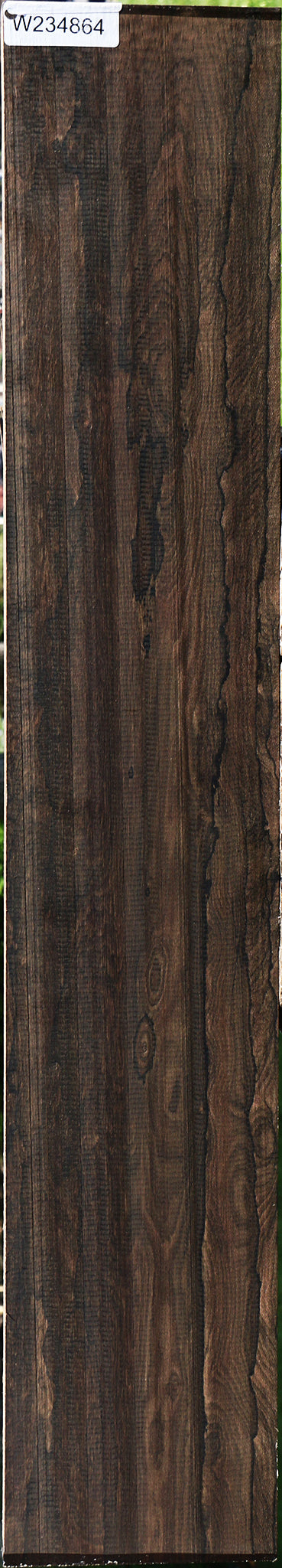 Exhibition Ziricote Instrument Lumber